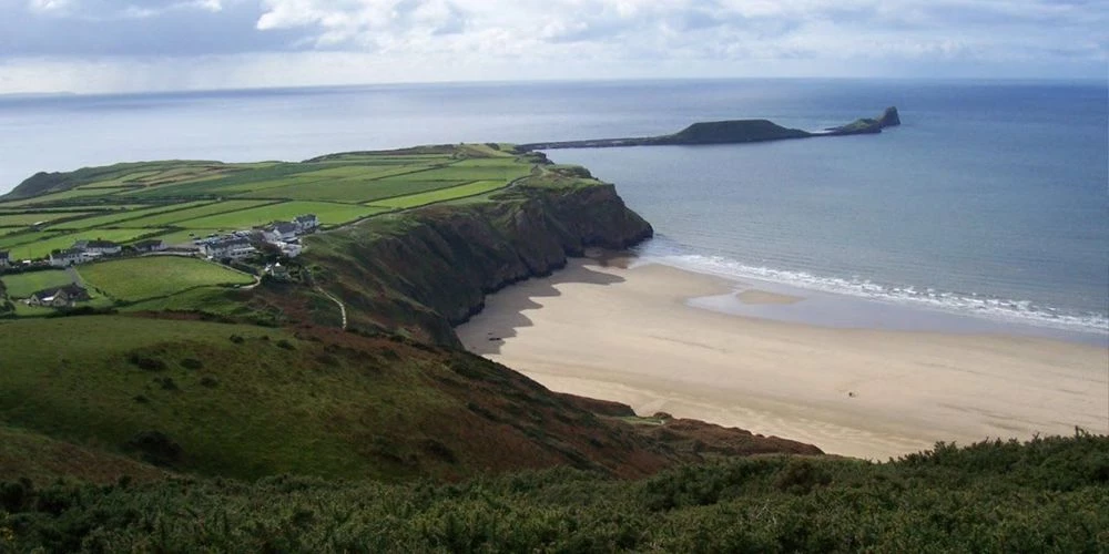 Μυστηριώδες πλάσμα ξεβράστηκε στις ακτές της Ουαλίας (εικόνες)
